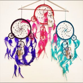 Drmmefangere fra Bali, Ass. farver