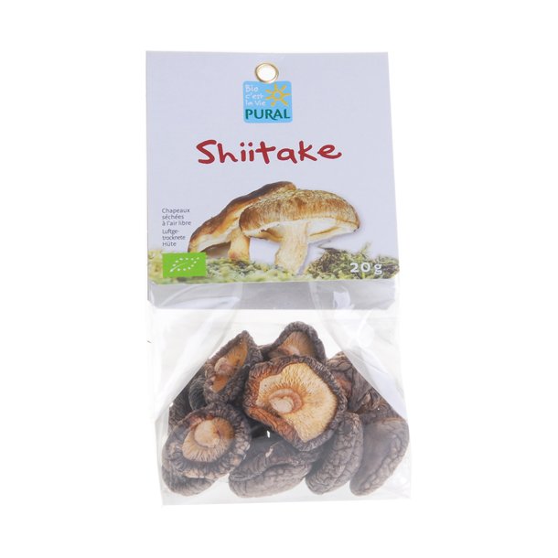 Shiitake svampe kologisk