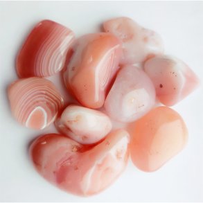 Abrikosagat L 1 kg fra Botswana