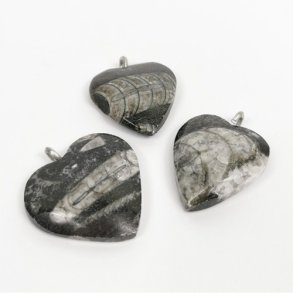 Orthocera vedhng hjerte