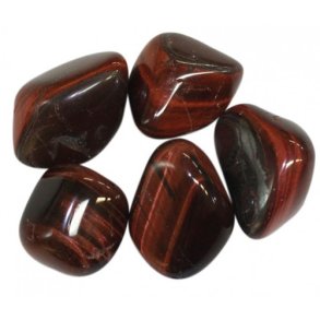 Okseje fra Sydafrika, ca. 2-3 cm, 10 stk.