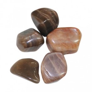 Mnesten 2-3 cm fra Indien