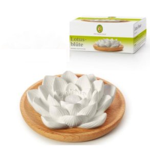 Aroma Duftsten Lotusblomst