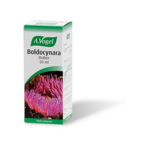 Boldocynara, 50ml