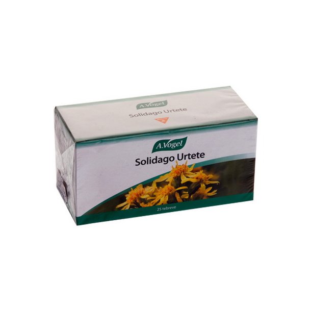 Solidago urtete, 25 breve