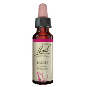 Bach Europisk Lrk (Larch)