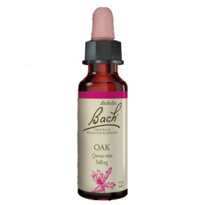 Bach Stilk Eg  (Oak)