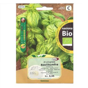 Basilikumfr Genovese kologiske til sning