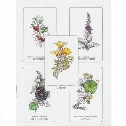 Hedgewitch Botanical Oracle