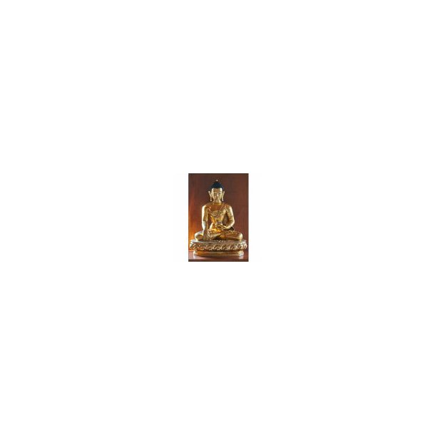 Buddha p canvas