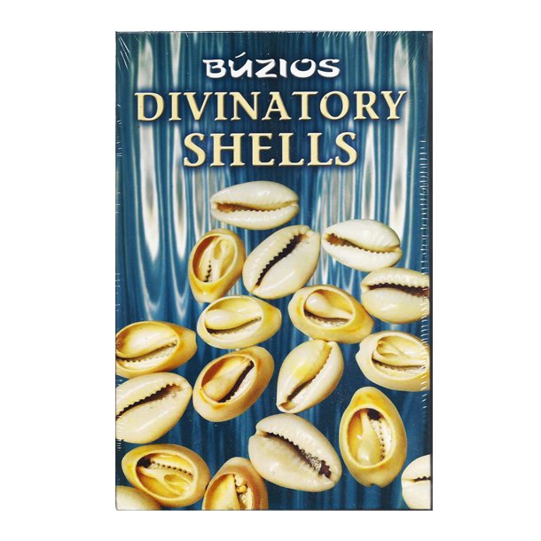 Buzios Divinatory Shells by Laura Tuan