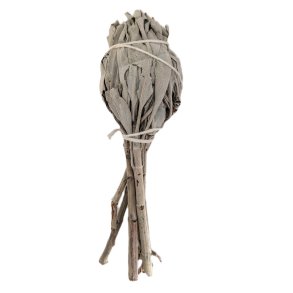 Californisk hvid salvie rgelse(Salvia Apiana) fakkel salvie