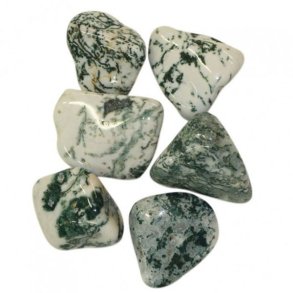 Agat Dendrit poleret sten fra Botswana 2-3 cm