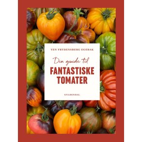 Din guide til fantastiske tomater