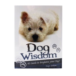 Dog wisdom cards