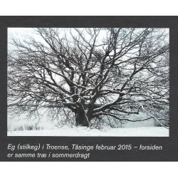 Danmarks trer og buske