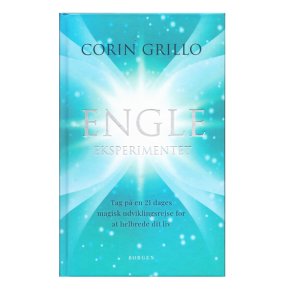 Engle eksperimentet af Corin Grillo