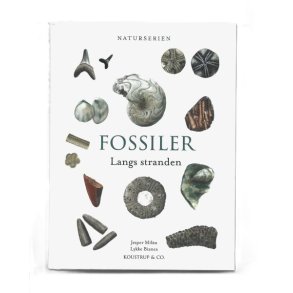 Fossiler langs stranden