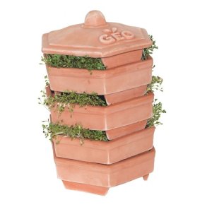 TerracottaSprouterGEO