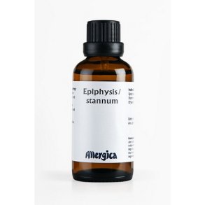 Epifysis, Stannum
