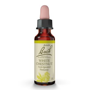 Bach Hestekastanje  (White Chestnut)