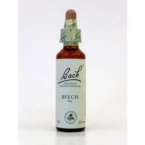 BachsBg(Beech)
