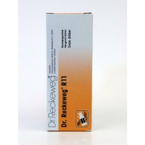 Dr.ReckewegR11