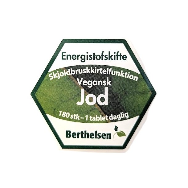 JodBerthelsenEnergistofskifte