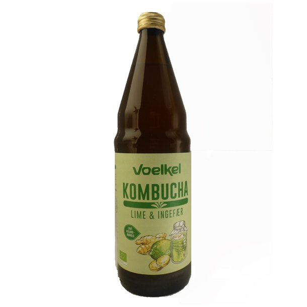 Kombucha Lime - ingefr 