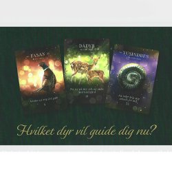 Utmmede stemmer af Mathilde Denning