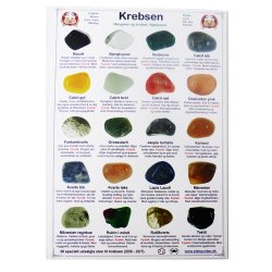 Stjernetegnskort pr. stk. 20,00kr.