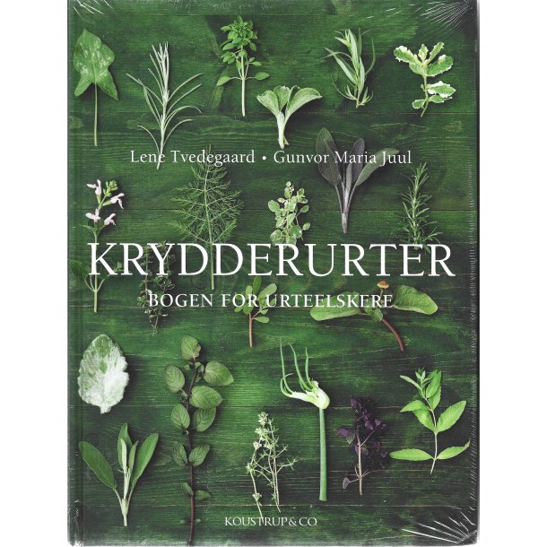 Krydderurter