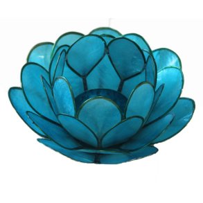 Lotusblomst Light aqua