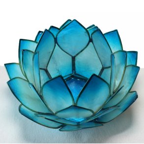 Lotusblomst Light Blue II