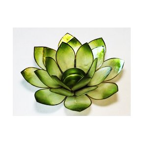 Lotusblomst Appel/Lime Green til fyrfadslys