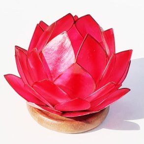 Lotus stage Ruby Red med tr�fod