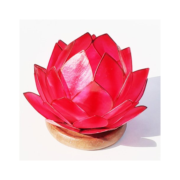 Lotus stage Ruby Red med tr�fod