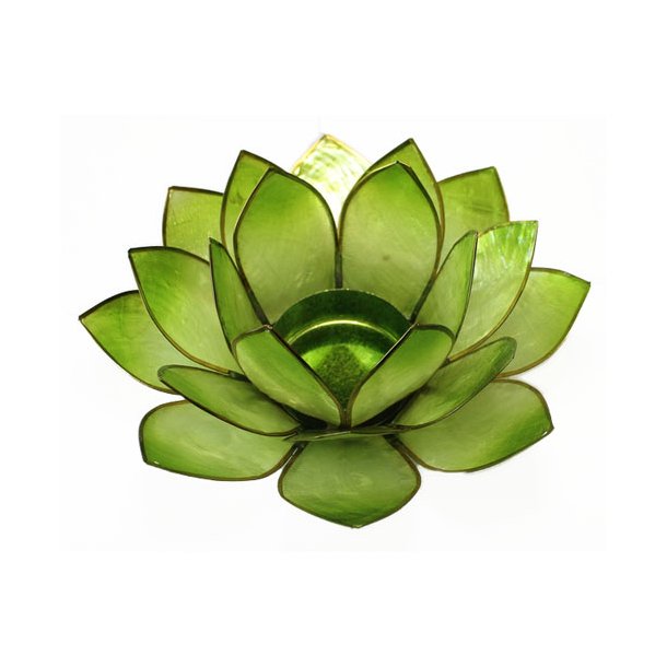 Lotus Stage Chakra 4 Green