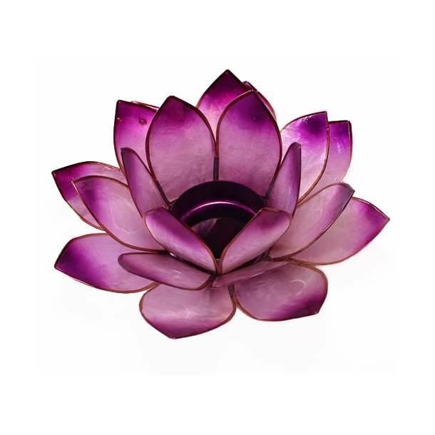 Lotus stage Chakra 6 Violet