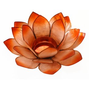 Lotus stage Chakra 3 Orange