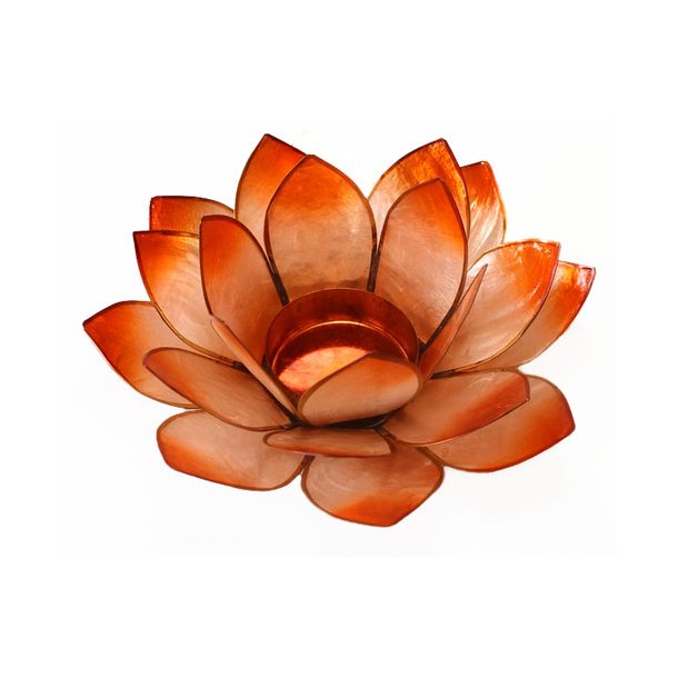 Lotus stage Chakra 3 Orange