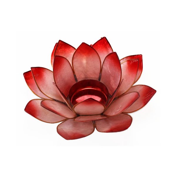 Lotus stage Chakra 1 Red