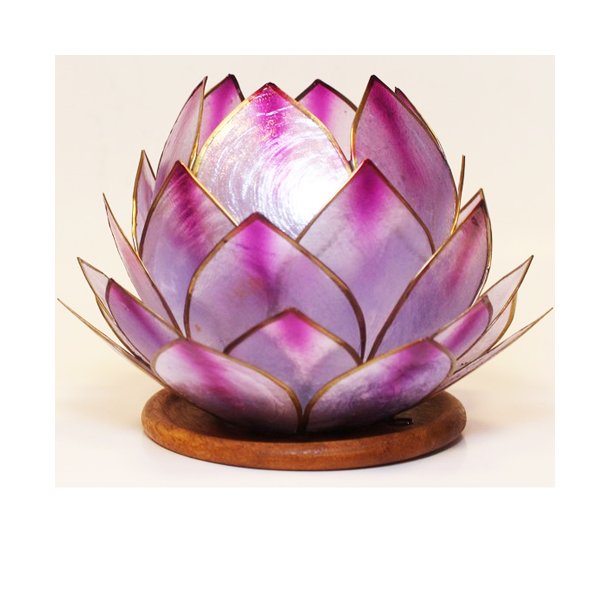 Lotus stage Ametyst Dream med trfod