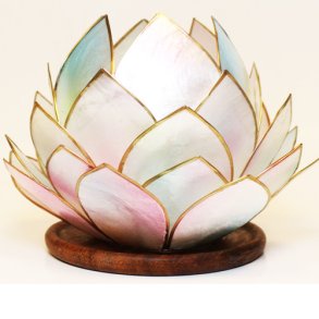 Lotus stage Opal Dream med trfod