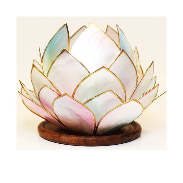 Lotus stage Opal Dream med trfod