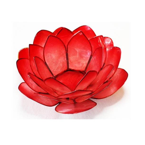 Lotus stage Red II