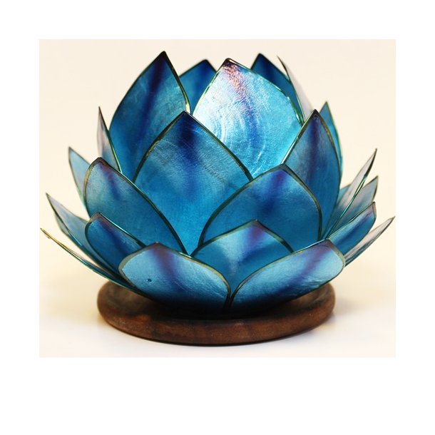 Lotus stager Blue Dream med trfod