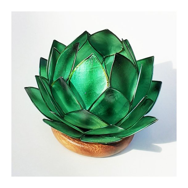 Lotus stage Emerald green med trfod