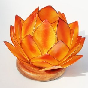 Lotus stage Orange Dream med tr�fod