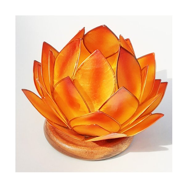 Lotus stage Orange Dream med tr�fod